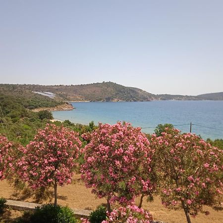 Skoutari Beach Hotel ภายนอก รูปภาพ
