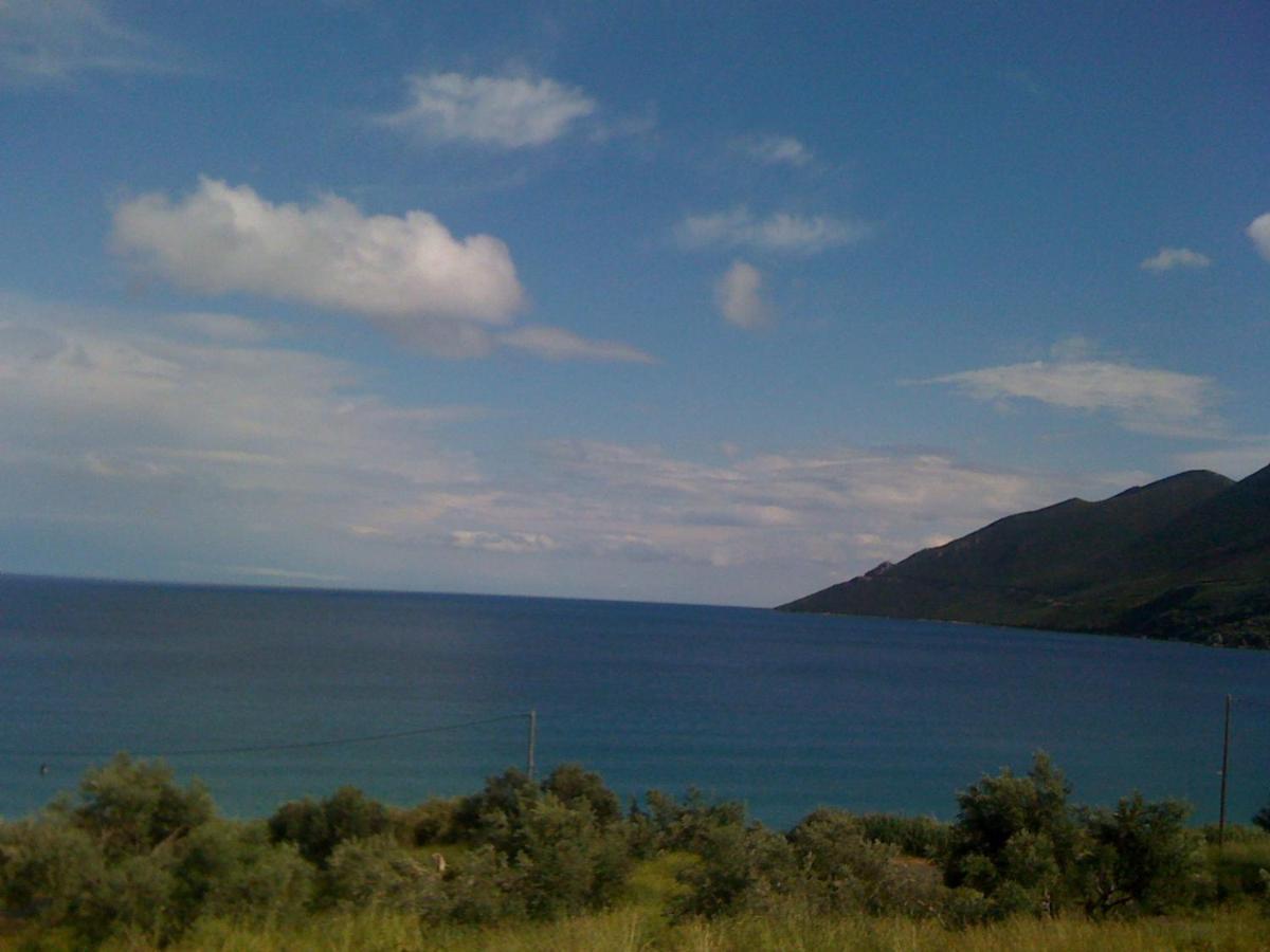 Skoutari Beach Hotel ภายนอก รูปภาพ